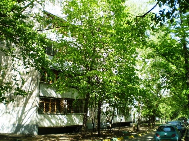 фото 3