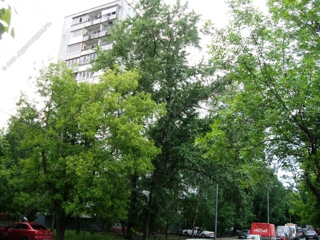 фото 3