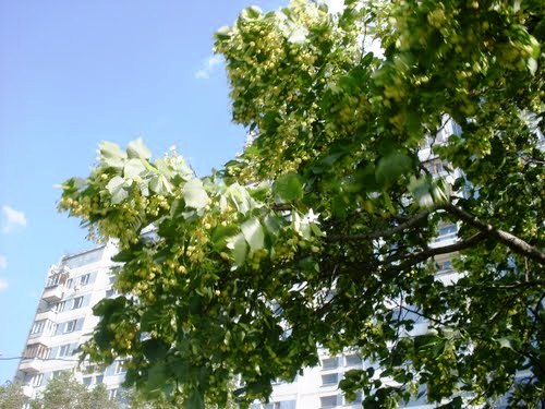 фото 3